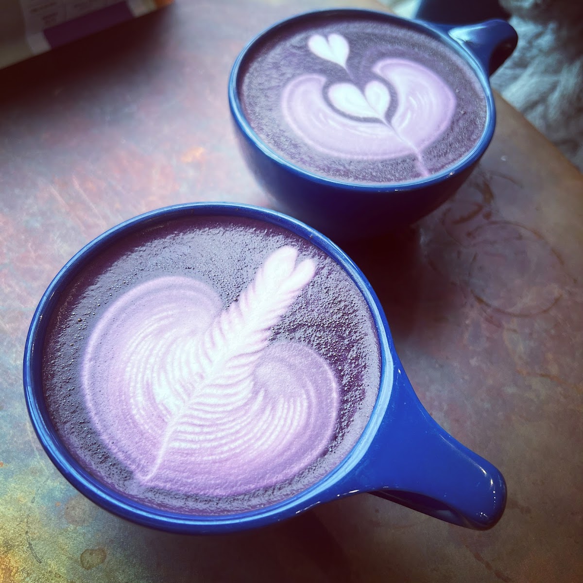 Voyager Craft Coffee - Cupertino-8